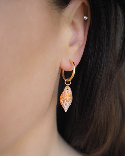 Close-up of an ear wearing a gold hoop earring with a shell pendant. Gold hoop earrings with two rustic dove shells from Portugal displayed on stone. The earrings are made of 18k gold stainless steel and the shells are handpicked from Portugal. The shells are red brown and white in color and they have an unique pattern. Perfect for summer days on the beach.  