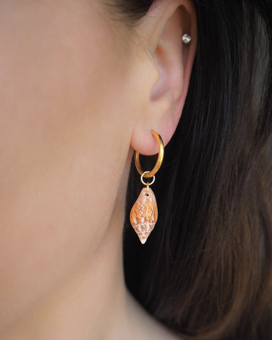 Close-up of an ear wearing a gold hoop earring with a shell pendant. Gold hoop earrings with two rustic dove shells from Portugal displayed on stone. The earrings are made of 18k gold stainless steel and the shells are handpicked from Portugal. The shells are red brown and white in color and they have an unique pattern. Perfect for summer days on the beach.  