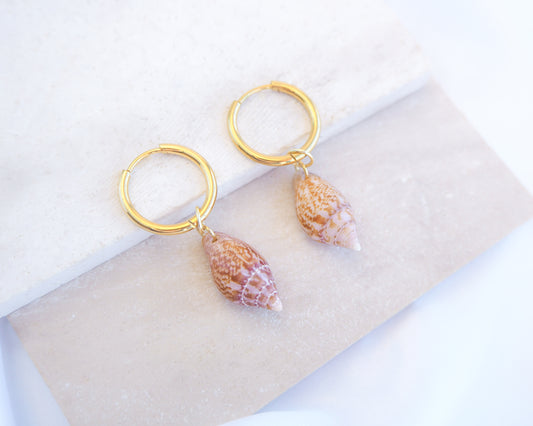 Gold hoop earrings with two rustic dove shells from Portugal displayed on stone. The earrings are made of 18k gold stainless steel and the shells are handpicked from Portugal. The shells are red brown and white in color and they have an unique pattern. Perfect for summer days on the beach.  