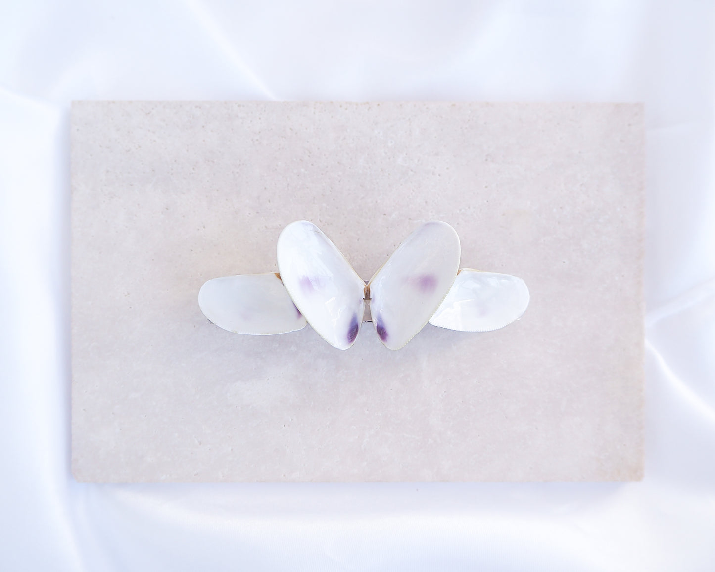 White Coquina Shells Butterfly Hair Clip Barrette on light stone displayed. Handpicked Real Coquina Shells. The shells are white in color and attached on the hair clip like a butterfly. The model has brown long hair. Sea Butterfly Shell Hair Decoration, Seashell Wedding Hair accessories, Coastal Christmas gift, Beach Wedding Hair