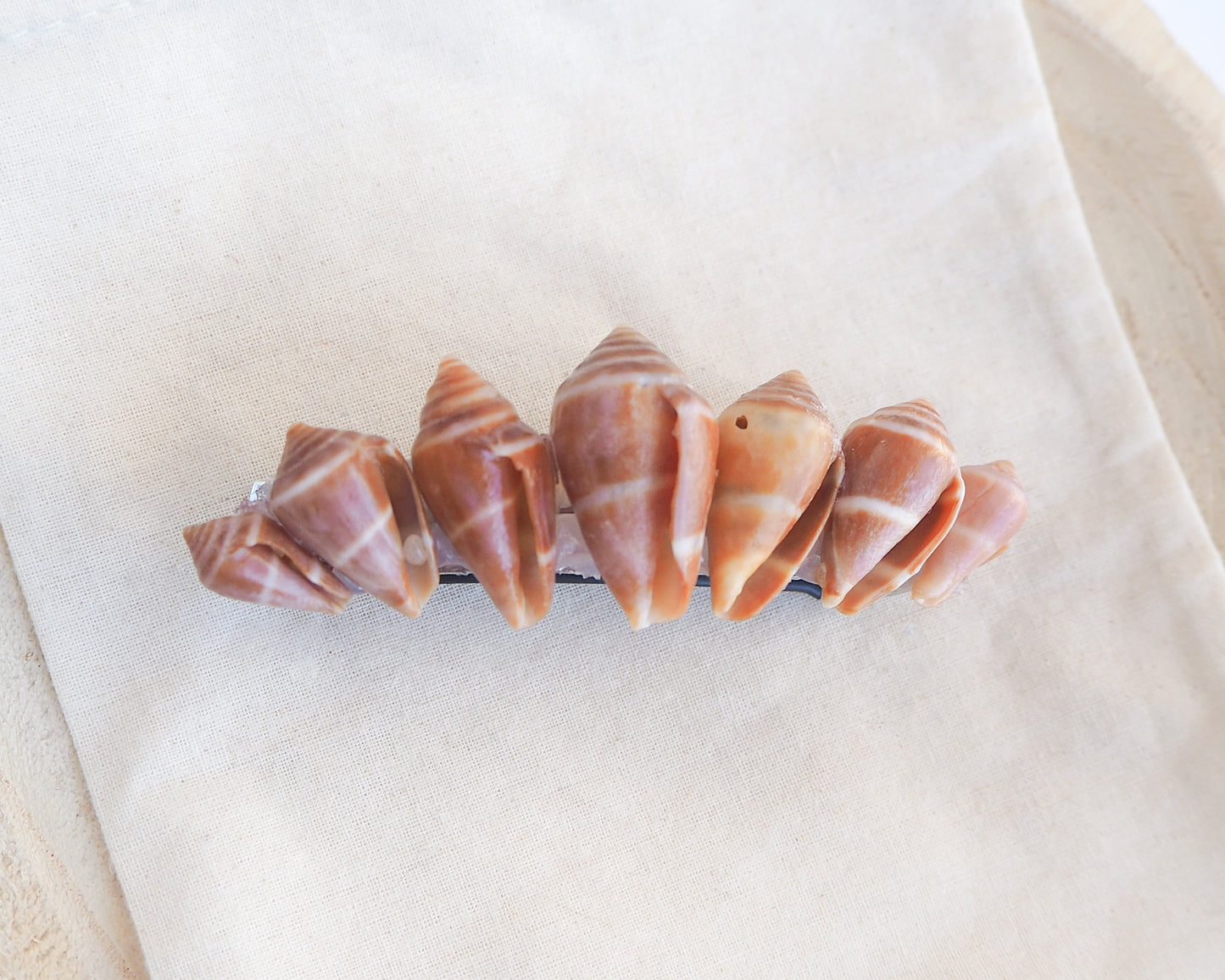 Seashell hair clip on a light fabric background. Mediterranean Cone Shells Hair Clip Barrette on cotton displayed. The shells are cone shaped with orange brown color. Handpicked from the beaches of Portugal. Boho Seashell Beach Clip from Portugal, Handpicked Real Shells, Seashell Hair Decoration, Bohemian Seashell Wedding Hair accessories, Coastal Christmas gift, Beach Wedding Hair