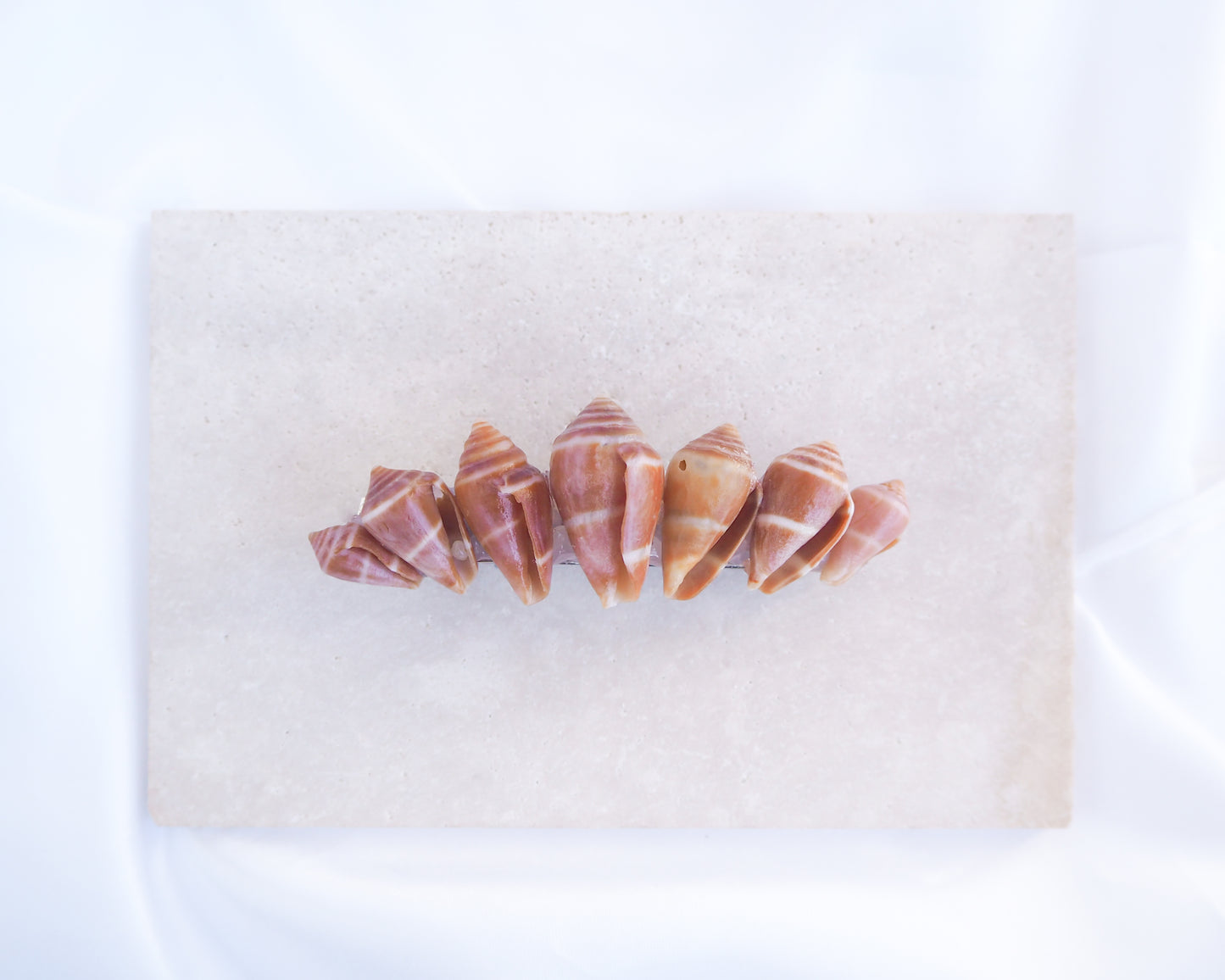 Mediterranean Cone Shells Hair Clip Barrette on stone displayed. The shells are cone shaped with orange brown color. Handpicked from the beaches of Portugal. Boho Seashell Beach Clip from Portugal, Handpicked Real Shells, Seashell Hair Decoration, Bohemian Seashell Wedding Hair accessories, Coastal Christmas gift, Beach Wedding Hair
