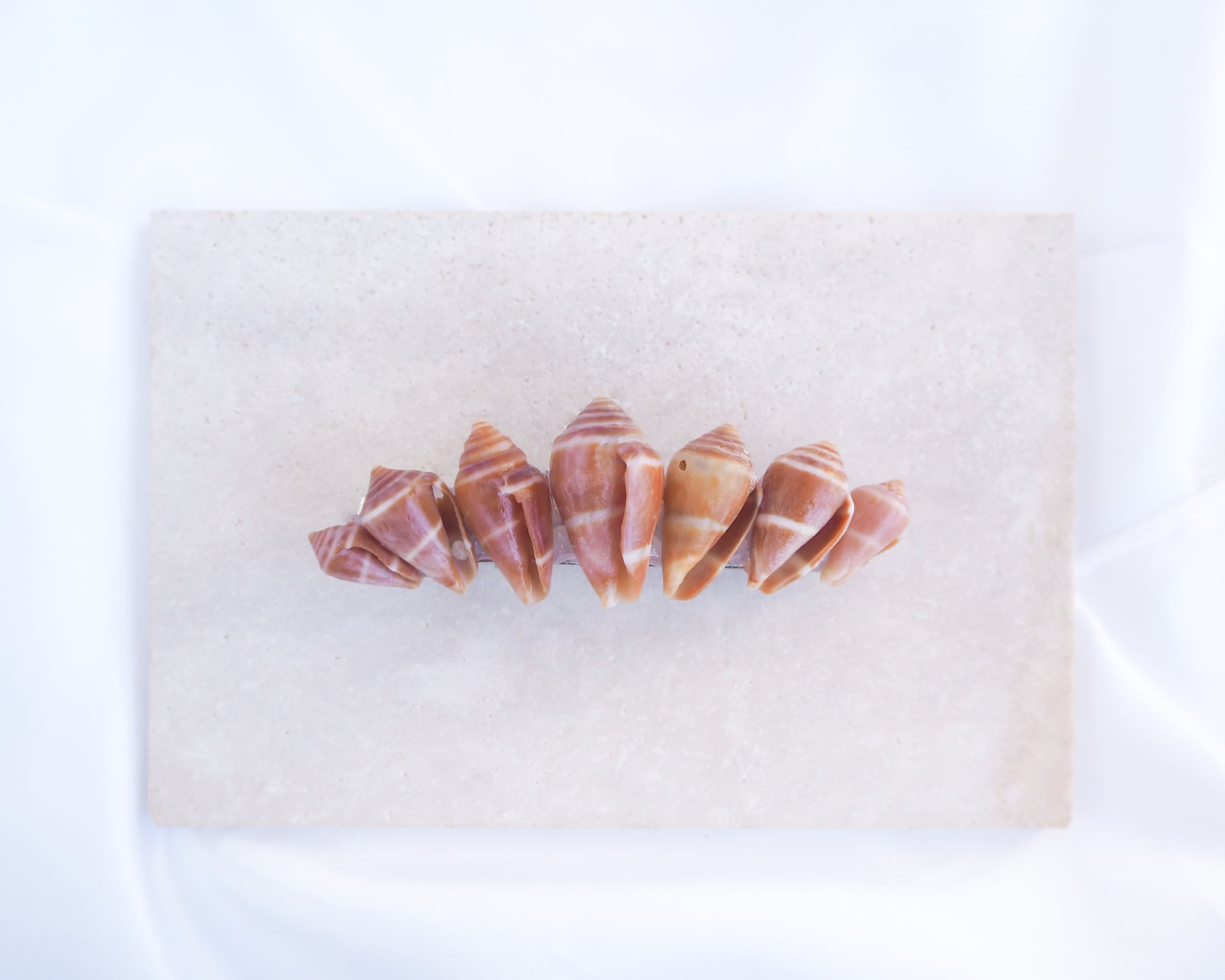 Mediterranean Cone Shells Hair Clip Barrette on stone displayed. The shells are cone shaped with orange brown color. Handpicked from the beaches of Portugal. Boho Seashell Beach Clip from Portugal, Handpicked Real Shells, Seashell Hair Decoration, Bohemian Seashell Wedding Hair accessories, Coastal Christmas gift, Beach Wedding Hair