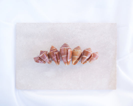 Mediterranean Cone Shells Hair Clip Barrette on stone displayed. The shells are cone shaped with orange brown color. Handpicked from the beaches of Portugal. Boho Seashell Beach Clip from Portugal, Handpicked Real Shells, Seashell Hair Decoration, Bohemian Seashell Wedding Hair accessories, Coastal Christmas gift, Beach Wedding Hair