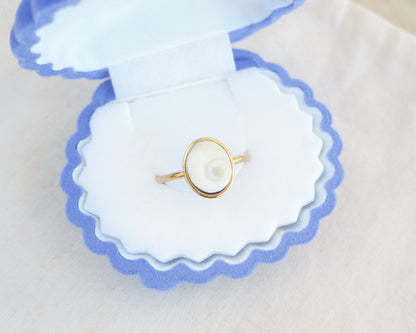 SEASHELL RING ~ Ivory Eye of Saint Lucia Gold Bezel