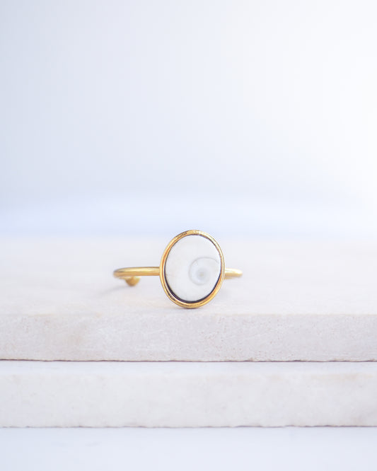 Gold bezel ring with a tiny ivory white shiva eye on stone displayed with light background. White Eye of Saint Lucia Gold Ring on stone displayed, 18k gold stainless steel shiva eye operculum, Saint Lucy Eye, operculum pendant
