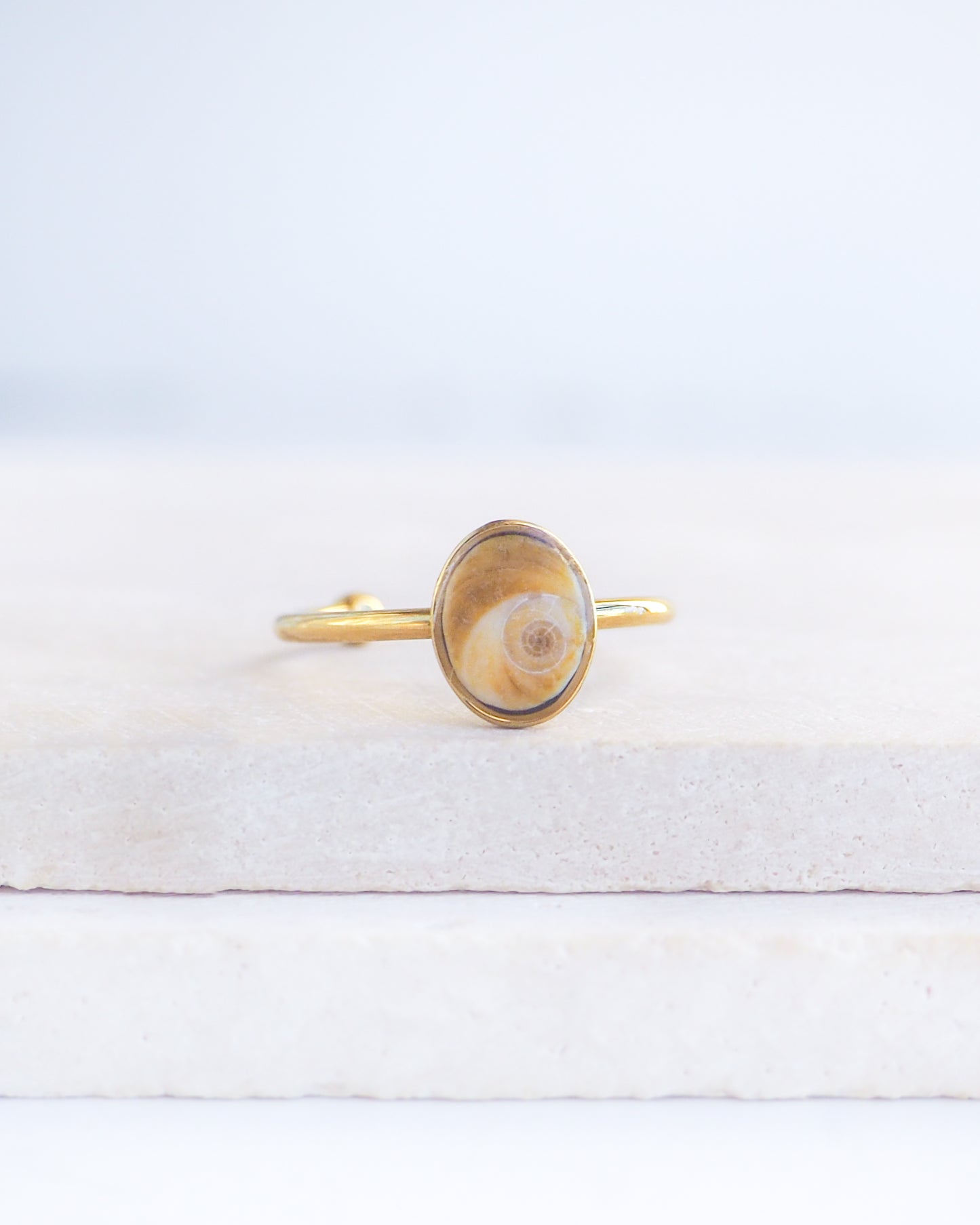 Gold bezel ring with a tiny brown shiva eye on stone displayed with light background. Tiny brown Eye of Saint Lucia Gold Ring on stone displayed, 18k gold stainless steel shiva eye operculum, Saint Lucy Eye, operculum pendant