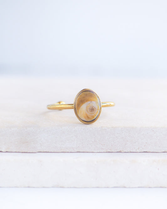 Gold bezel ring with a tiny brown shiva eye on stone displayed with light background. Tiny brown Eye of Saint Lucia Gold Ring on stone displayed, 18k gold stainless steel shiva eye operculum, Saint Lucy Eye, operculum pendant