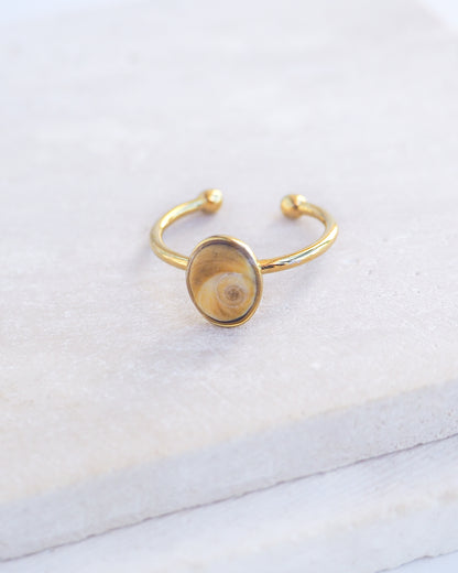 Side view of Gold bezel ring with a tiny brown shiva eye on stone displayed with light background. Tiny brown Eye of Saint Lucia Gold Ring on stone displayed, 18k gold stainless steel shiva eye operculum, Saint Lucy Eye, operculum pendant