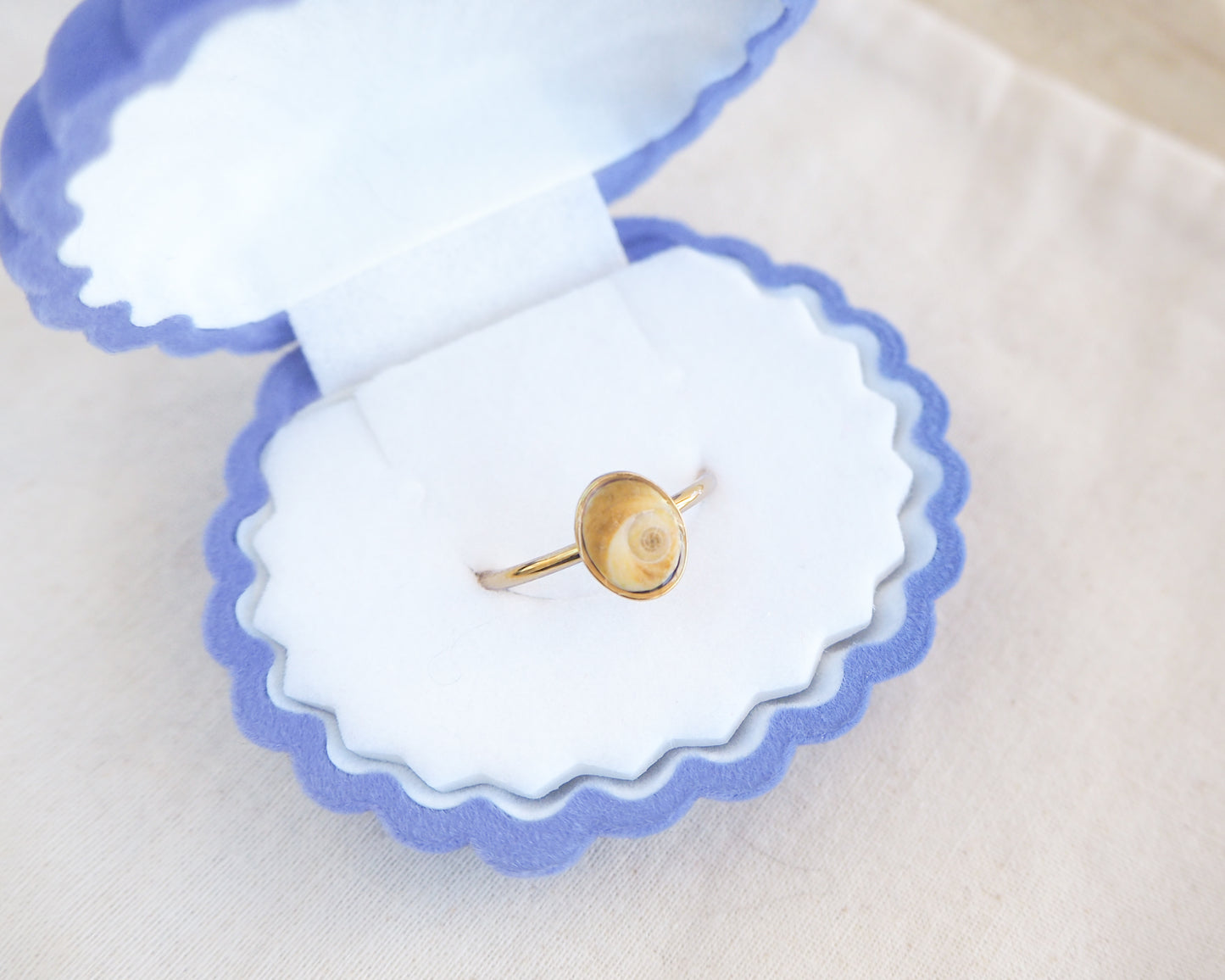 Gold tiny brown shiva eye ring on a white and blue scalloped jewelry dish.