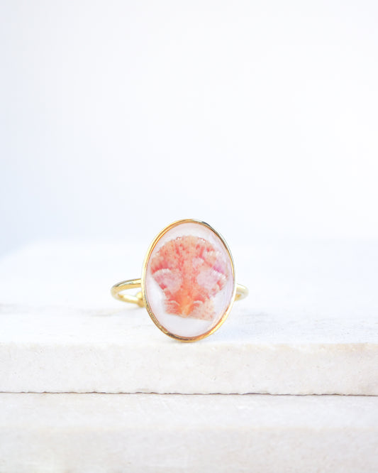 Tiny Scallop Shell Gold Ring on stone displayed. Tiny Orange Pink Scallop Shell Bezel Ring, 18k gold stainless steel, handpicked scallop shell from the beach of Portugal, 
