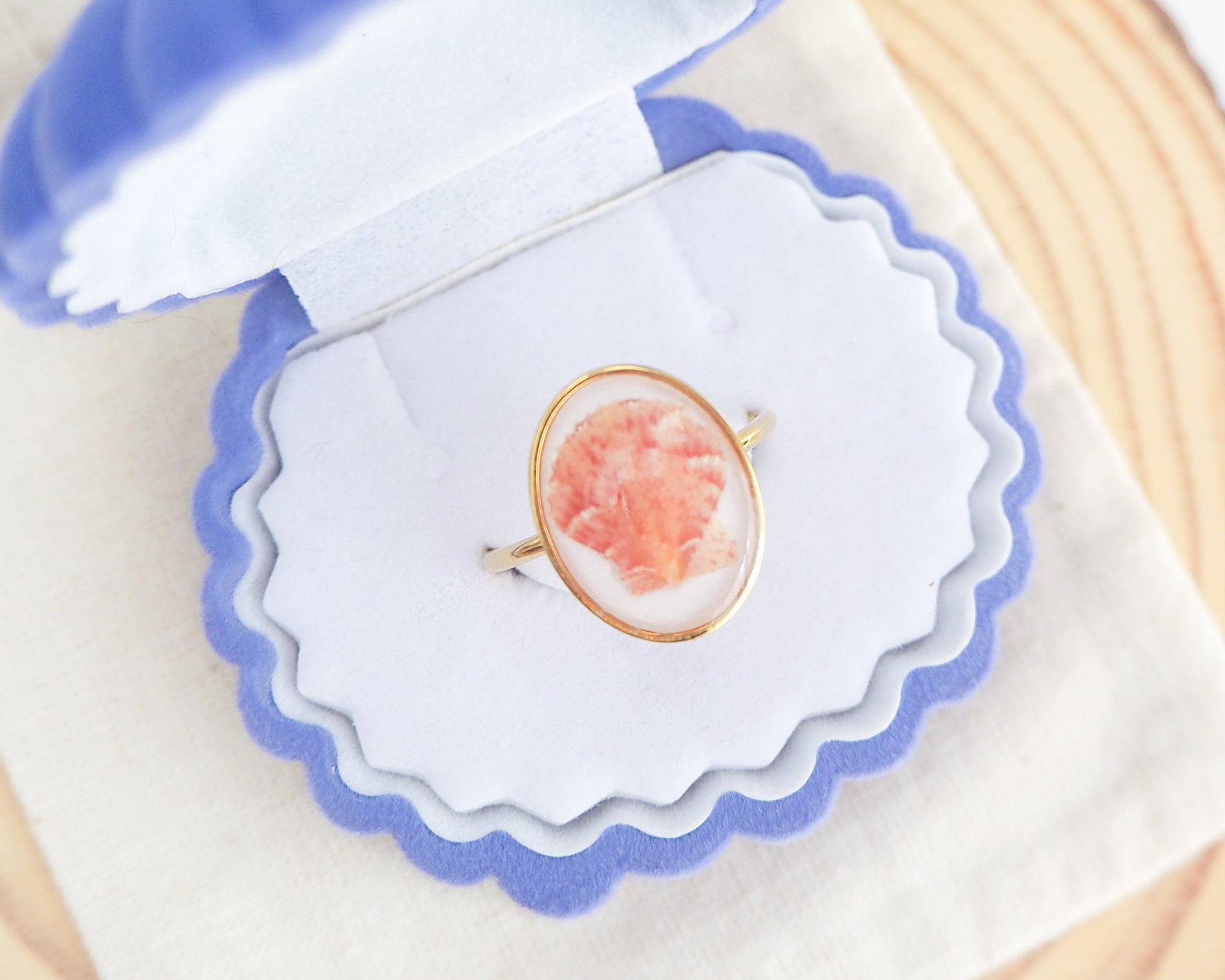 Tiny Scallop Shell Gold Ring in white blue seashell jewelry box. Tiny Orange Pink Scallop Shell Bezel Ring, 18k gold stainless steel, handpicked scallop shell from the beach of Portugal, 