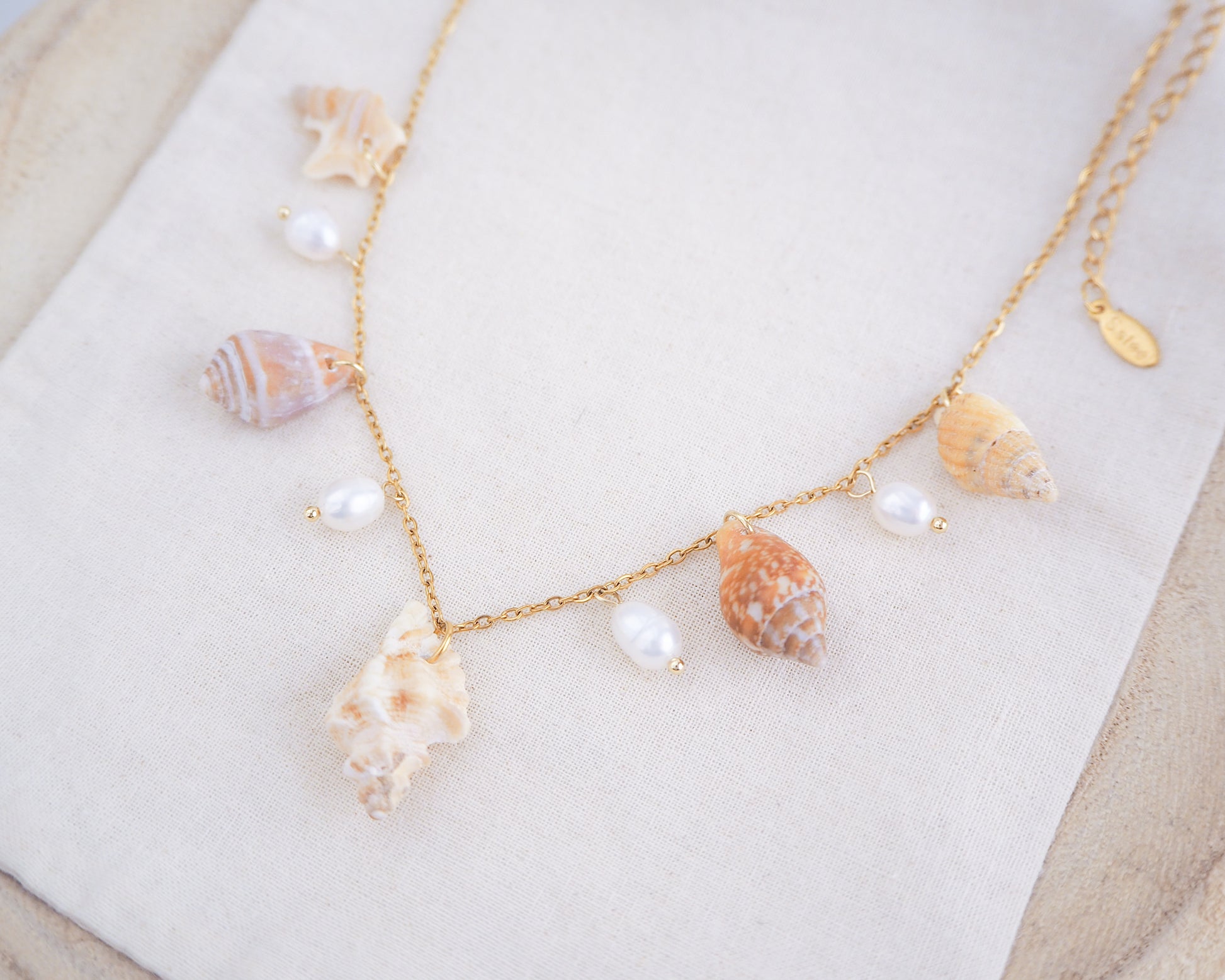 Side view of necklace with seashells and pearls on a white surface. Portuguese Shell Pearl Charm Necklace with tiny shells from Portugal. Mediterranean cone shell, pelican foot shell, rustic dove shell, netted dog whelk shell, sting winkle shell. Ivory white Freshwater pearls