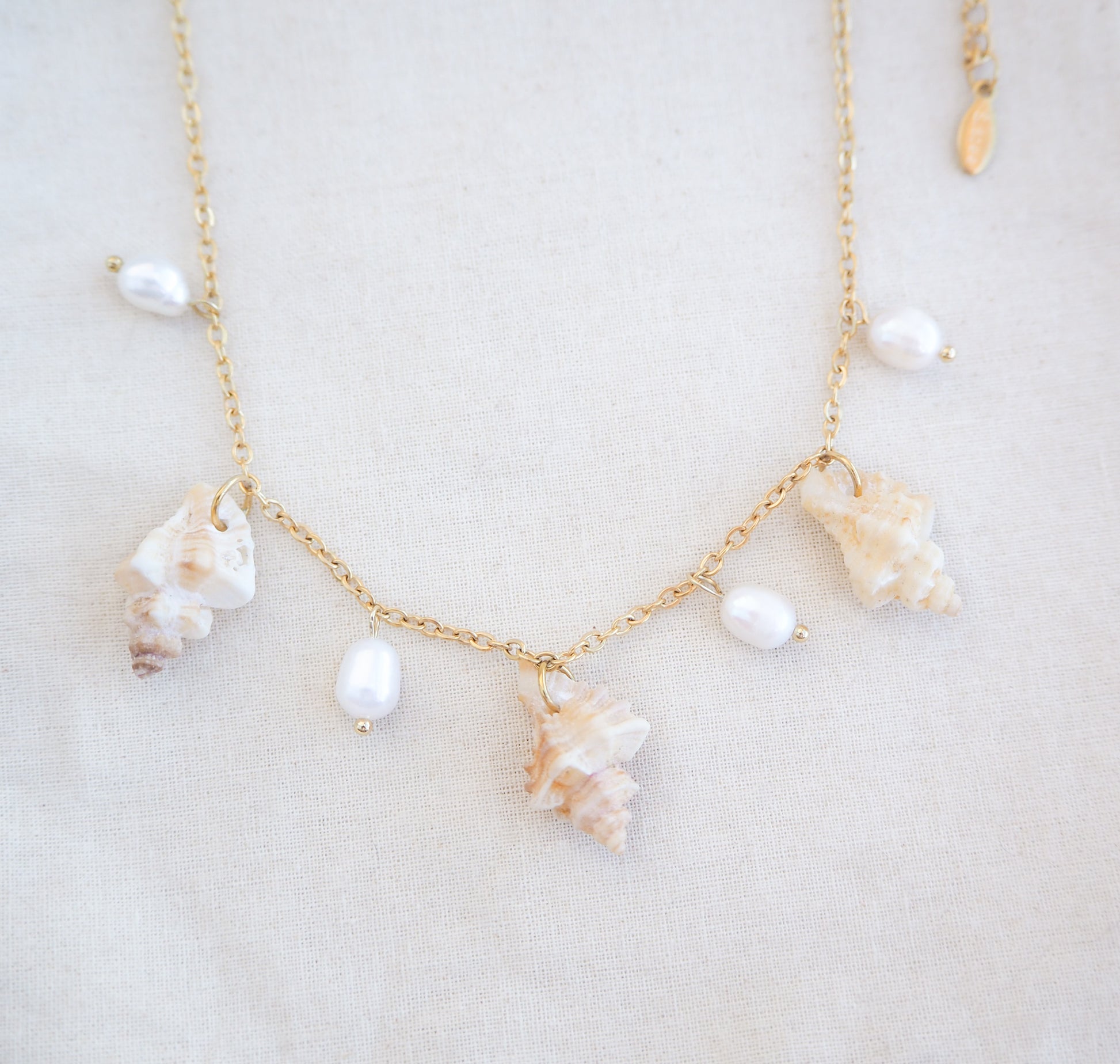Front view of gold necklace with seashells and pearls on cotton. Portuguese Shell Pearl Charm Necklace with tiny sting winkle shells from Portugal and ivory white Freshwater pearls.