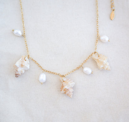 Front view of gold necklace with seashells and pearls on cotton. Portuguese Shell Pearl Charm Necklace with tiny sting winkle shells from Portugal and ivory white Freshwater pearls.