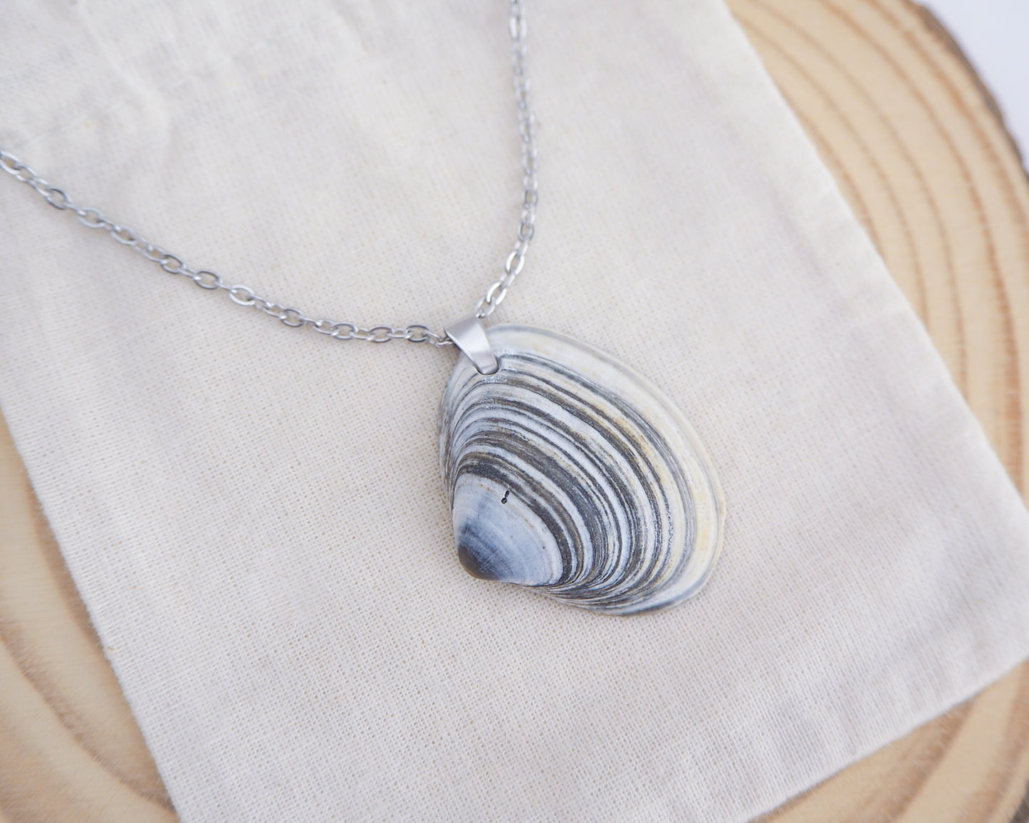 Close up of Blue White Striped Atlantic Surfclam Shell Silver Necklace from Portugal on display