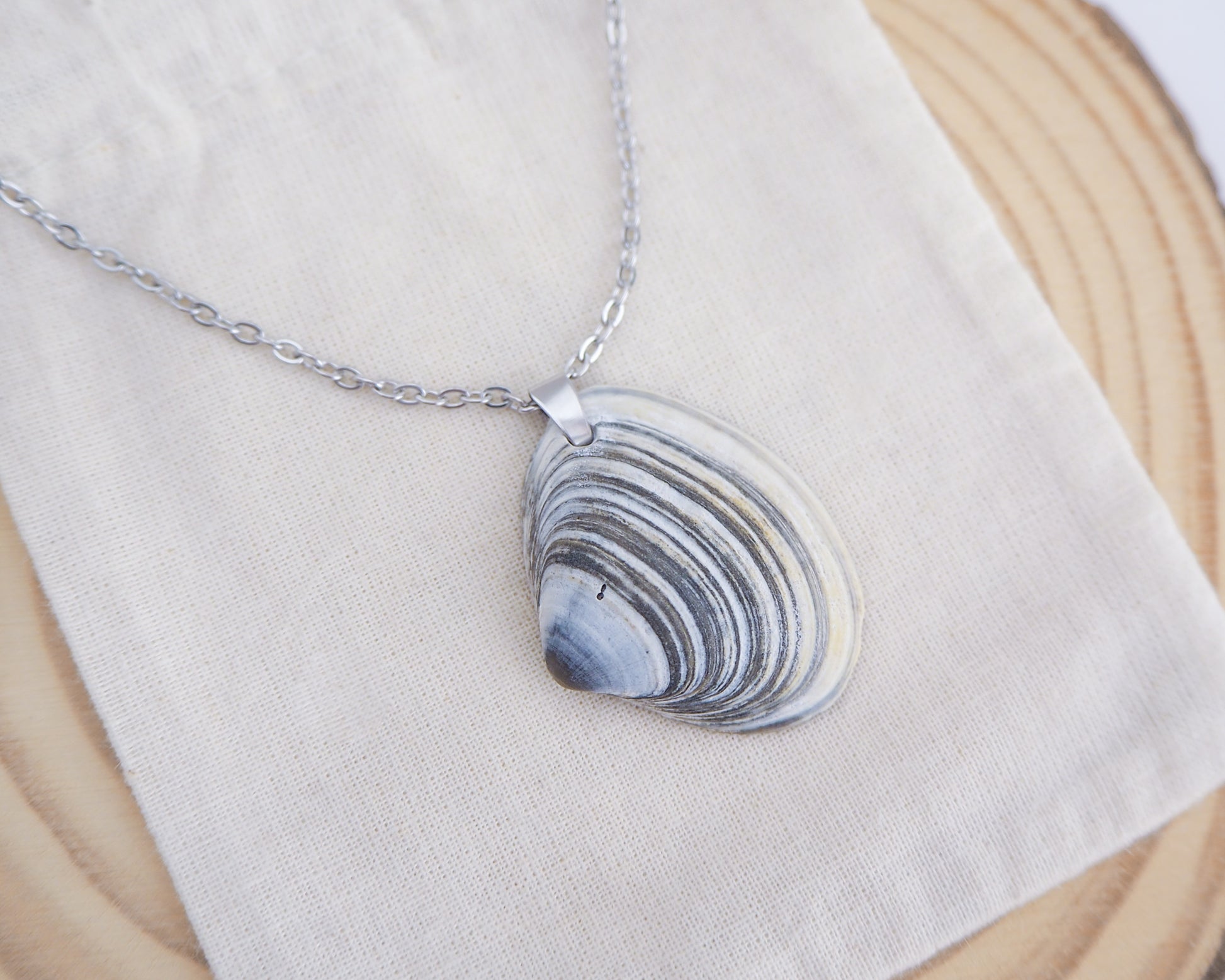 Close up of Blue White Striped Atlantic Surfclam Shell Silver Necklace from Portugal on display