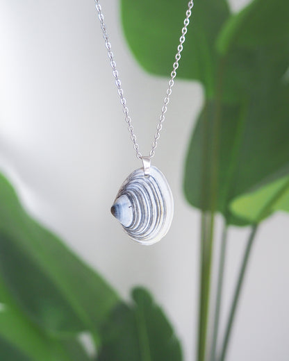 Blue White Striped Atlantic Surfclam Shell Silver Necklace from Portugal with green plant background