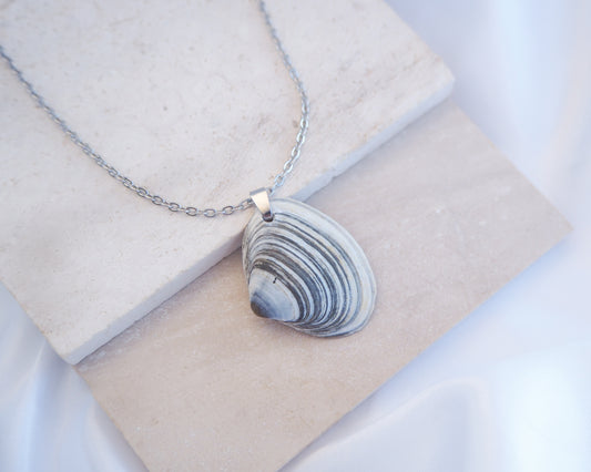 Blue White Striped Atlantic Surfclam Shell Silver Necklace from Portugal on display