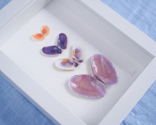 Artwork with butterfly-shaped seashells in various colors on a light gray background. Made with handpicked shells from Portugal. Coquina shells, thin tellin shells, and rayed trough shells. Set in a white frame box.
