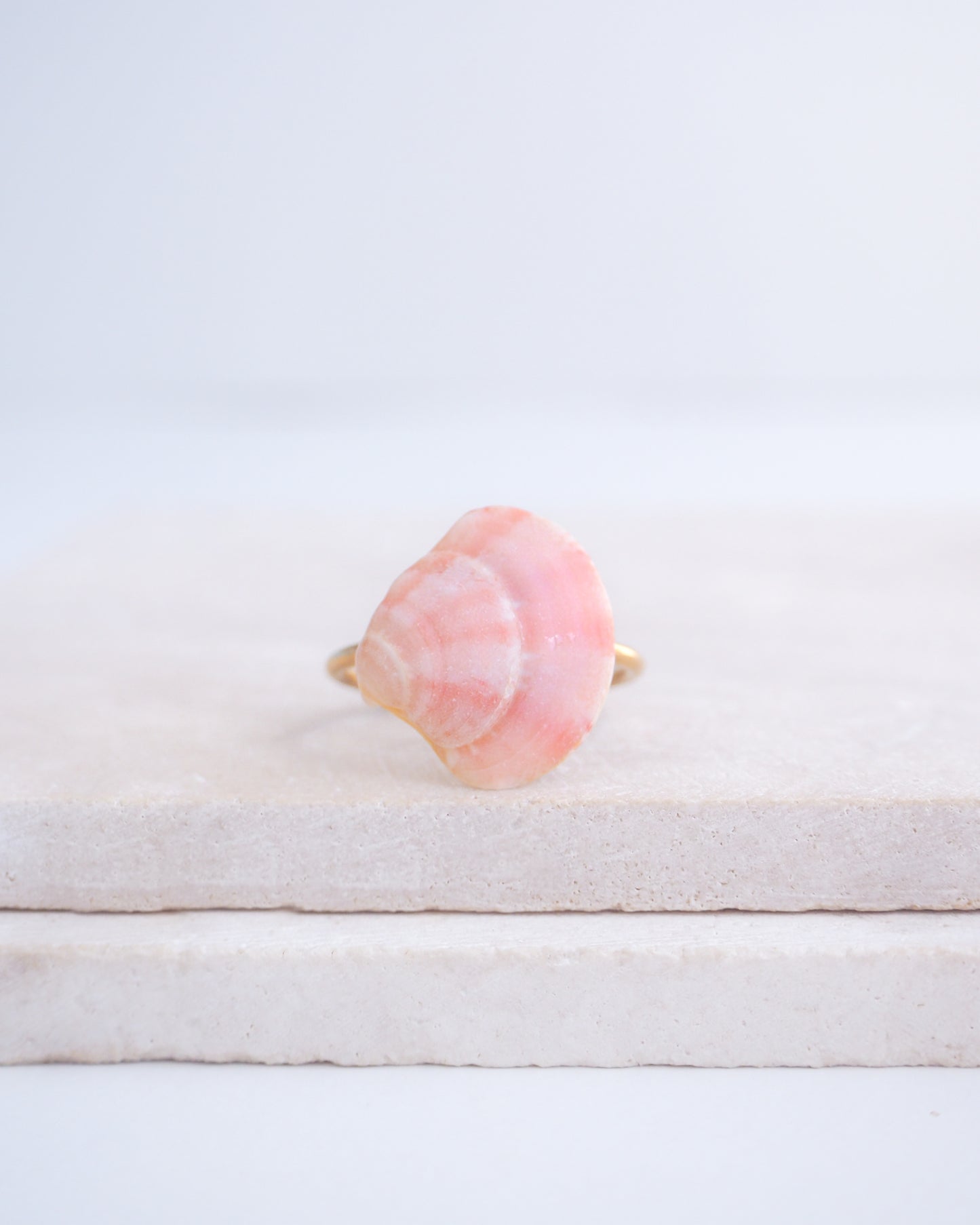 Front view of a tiny venus shell on gold ring. Made with a pink coral venus shell handpicked from Portugal and 18k gold stainless steel adjustable ring. 