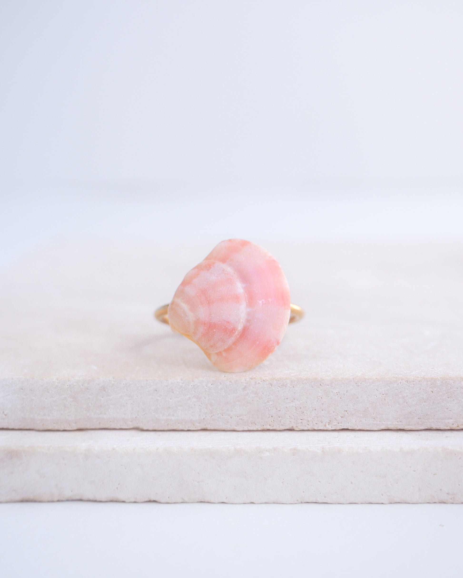 Front view of a tiny venus shell on gold ring. Made with a pink coral venus shell handpicked from Portugal and 18k gold stainless steel adjustable ring. 