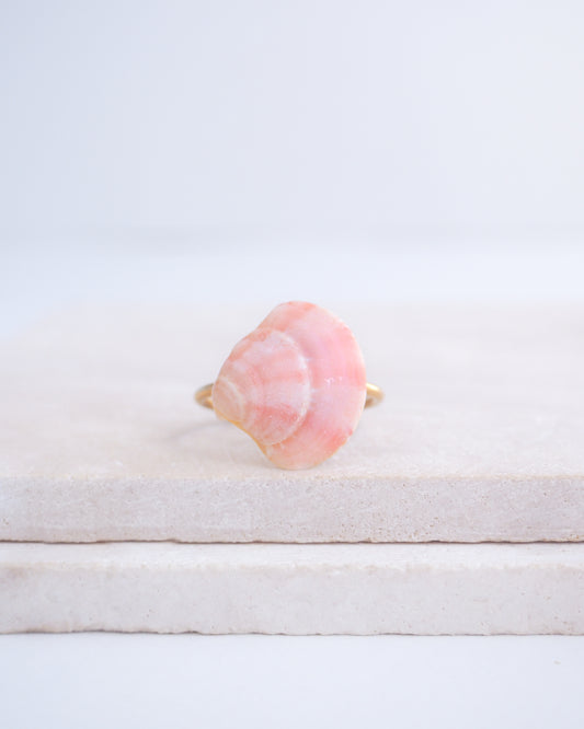 Front view of a tiny venus shell on gold ring. Made with a pink coral venus shell handpicked from Portugal and 18k gold stainless steel adjustable ring. 