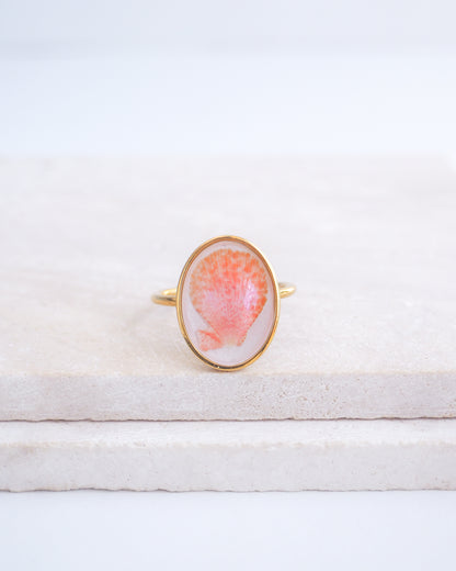 Ring with a pink and gold design on a white fabric background. Tiny Scallop Shell Gold Ring on stone displayed. Tiny Coral Pink Scallop Shell Bezel Ring, 18k gold stainless steel, handpicked scallop shell from the beach of Portugal.