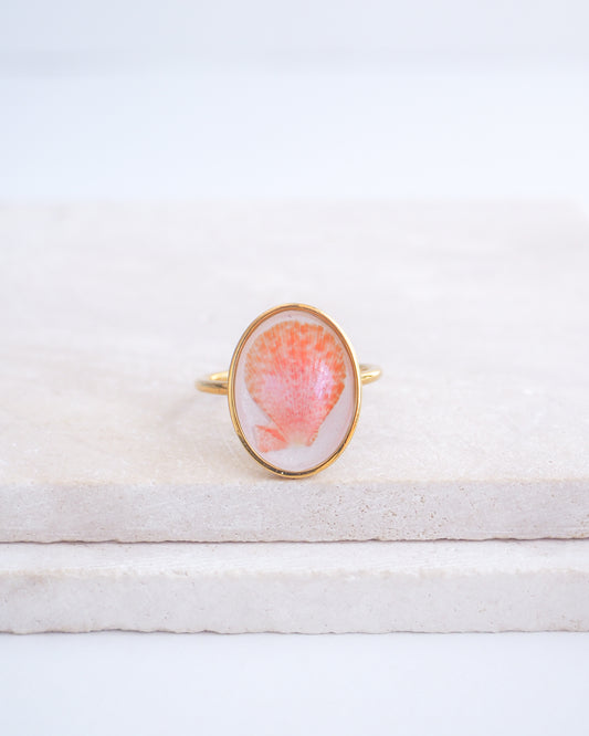 Ring with a pink and gold design on a white fabric background. Tiny Scallop Shell Gold Ring on stone displayed. Tiny Coral Pink Scallop Shell Bezel Ring, 18k gold stainless steel, handpicked scallop shell from the beach of Portugal.