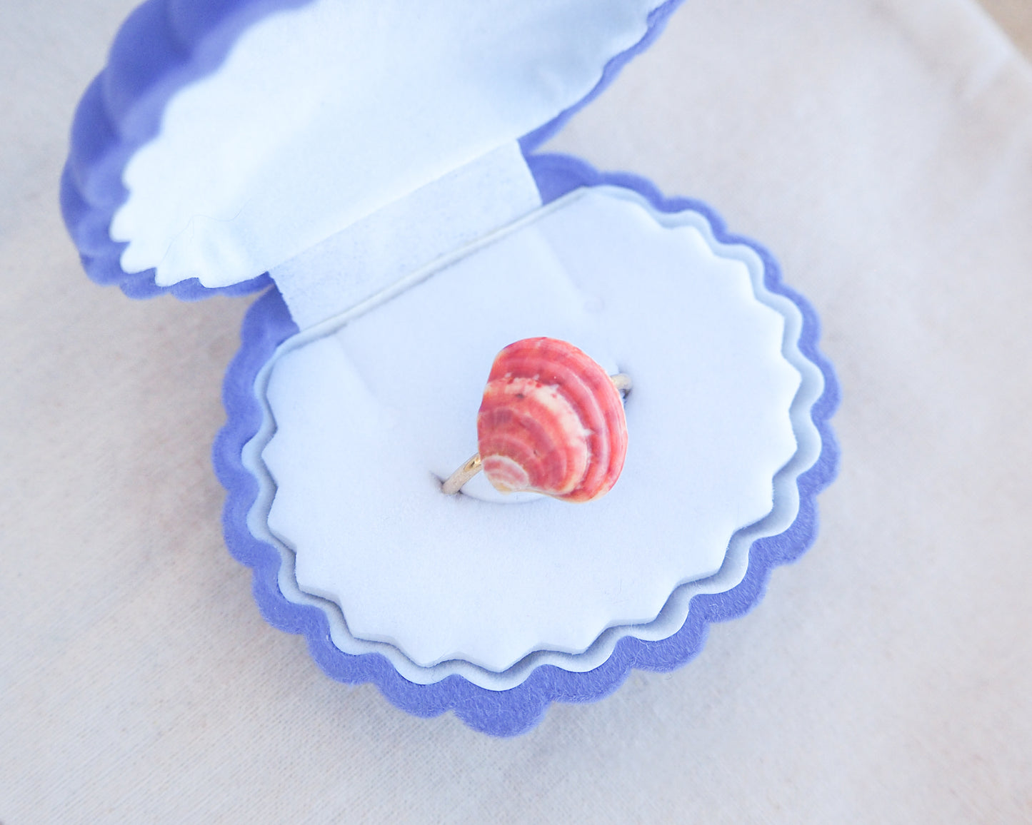 A blue seashell box with a tiny venus shell on gold ring. Made with a fuchsia pink coral venus shell handpicked from Portugal and 18k gold stainless steel adjustable ring. 