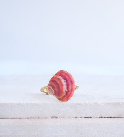 Front view of a tiny venus shell on gold ring. Made with a fuchsia pink coral venus shell handpicked from Portugal and 18k gold stainless steel adjustable ring. 