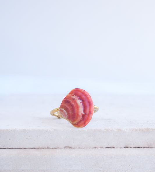 Front view of a tiny venus shell on gold ring. Made with a fuchsia pink coral venus shell handpicked from Portugal and 18k gold stainless steel adjustable ring. 