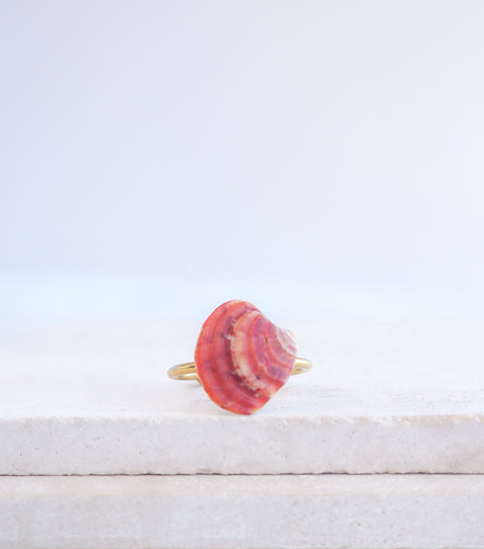 A tiny venus shell on gold ring. Made with a fuchsia pink coral venus shell handpicked from Portugal and 18k gold stainless steel adjustable ring. 