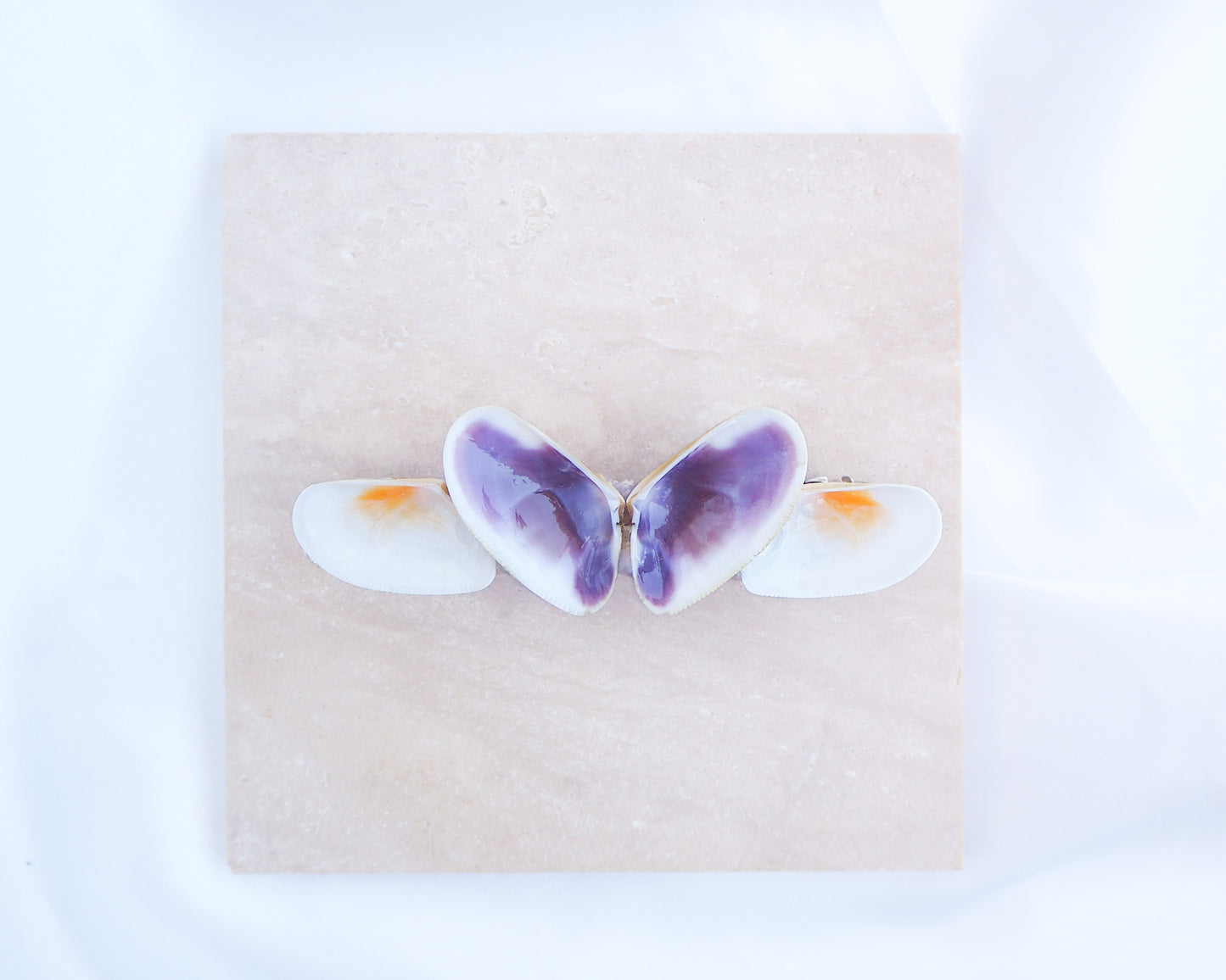 SEASHELL HAIR CLIP ~ Purple Butterfly Coquina Shells ~ Large