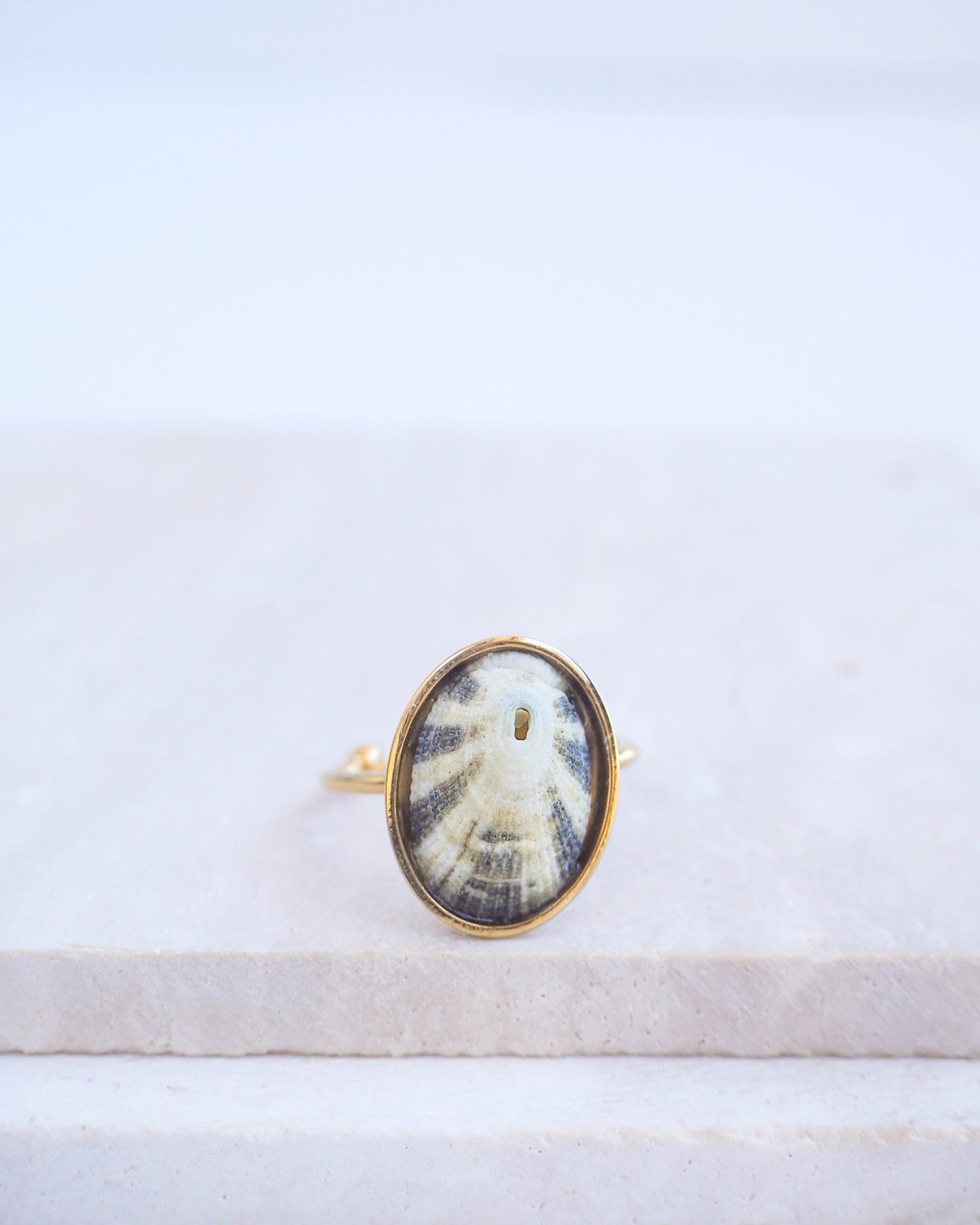 Gold Green Limpet Shell Ring on display. Made with a handpicked Common Keyhole Limpet Limpet Shell from Portugal set in a 18k gold stainless steel bezel. It's an adjustable ring 