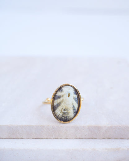 Gold Green Limpet Shell Ring on display. Made with a handpicked Common Keyhole Limpet Limpet Shell from Portugal set in a 18k gold stainless steel bezel. It's an adjustable ring 
