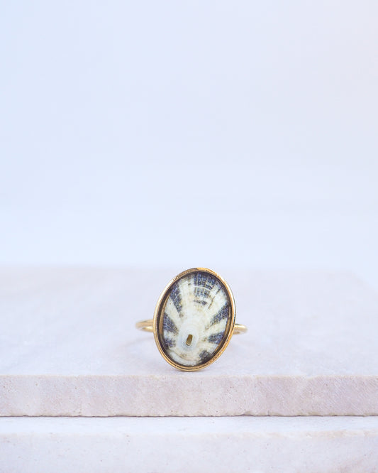 Green Limpet Shell Ring on display. Made with a handpicked Common Keyhole Limpet Limpet Shell from Portugal set in a 18k gold stainless steel bezel. It's an adjustable ring 