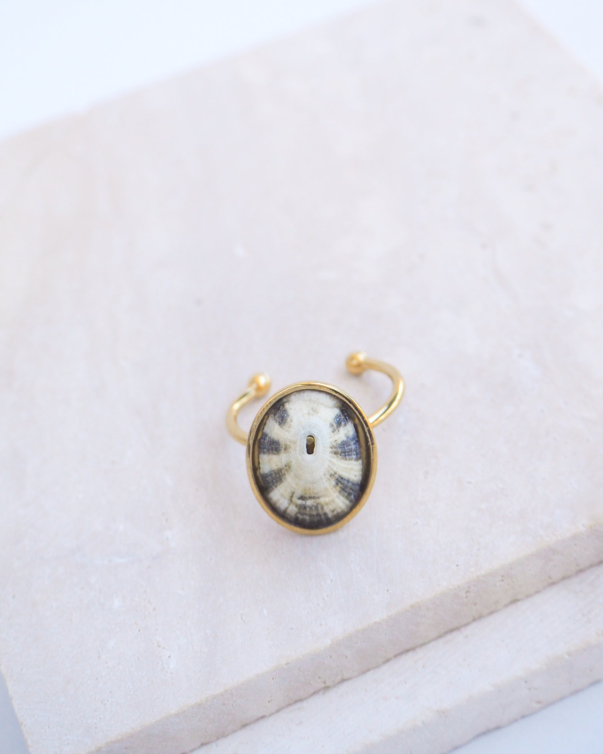 Side view of Gold Green Limpet Shell Ring on display. Made with a handpicked Common Keyhole Limpet Limpet Shell from Portugal set in a 18k gold stainless steel bezel. It's an adjustable ring 