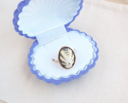Gold Green Limpet Shell Ring in blue velvet jewelry box. Made with a handpicked Common Keyhole Limpet Limpet Shell from Portugal set in a 18k gold stainless steel bezel. It's an adjustable ring 