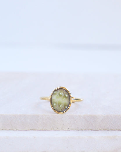 Green Sea Urchin Shell Ring on display. Made with a handpicked piece of kaki green sea urchin shell from Portugal set in a 18k gold stainless steel bezel. It's an adjustable ring 