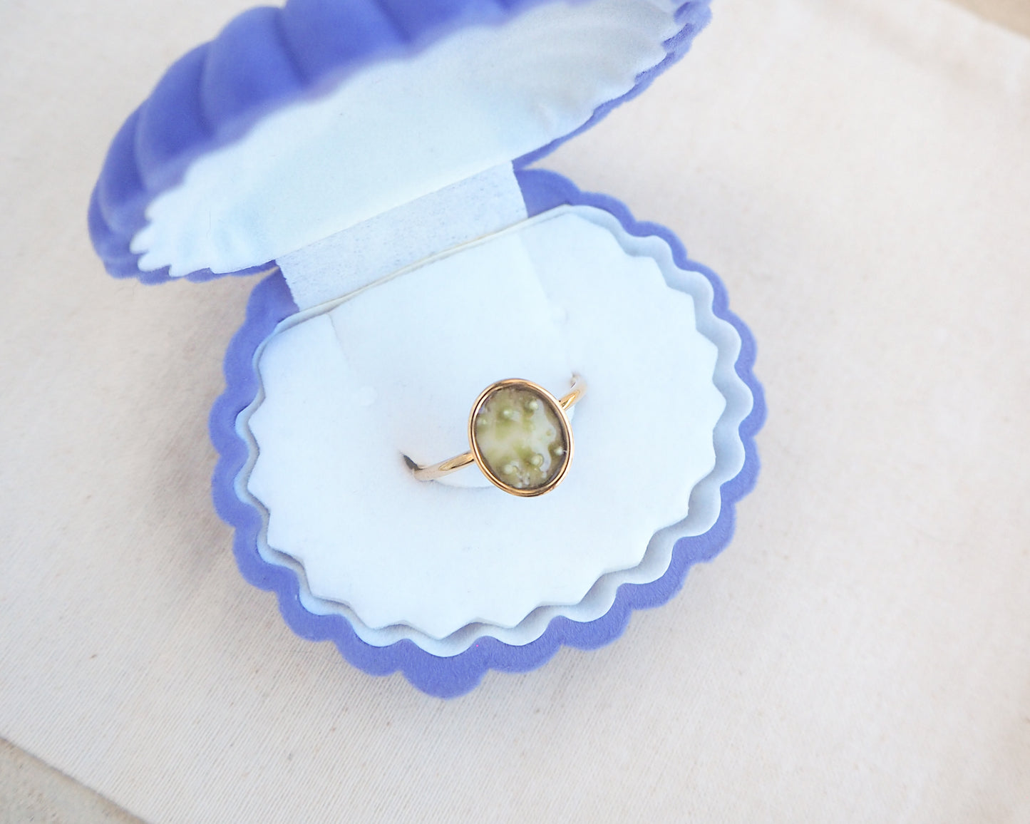 Blue velvet shell box with Green Sea Urchin Shell Ring on display. Made with a handpicked piece of kaki green sea urchin shell from Portugal set in a 18k gold stainless steel bezel. It's an adjustable ring 