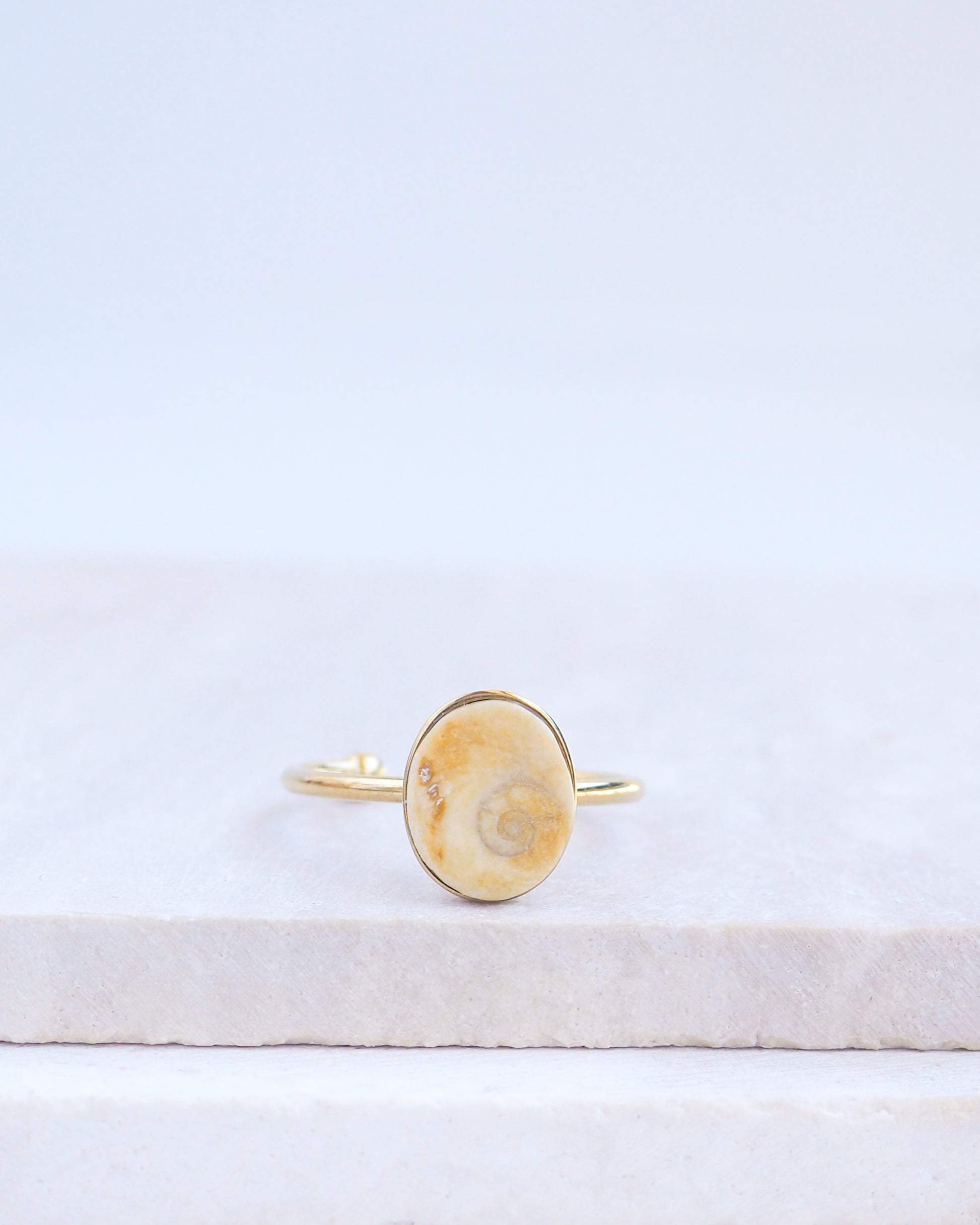 Gold bezel ring with a tiny beige shiva eye on stone displayed with light background. Tiny beige Eye of Saint Lucia Gold Ring on stone displayed, 18k gold stainless steel shiva eye operculum, Saint Lucy Eye, operculum pendant