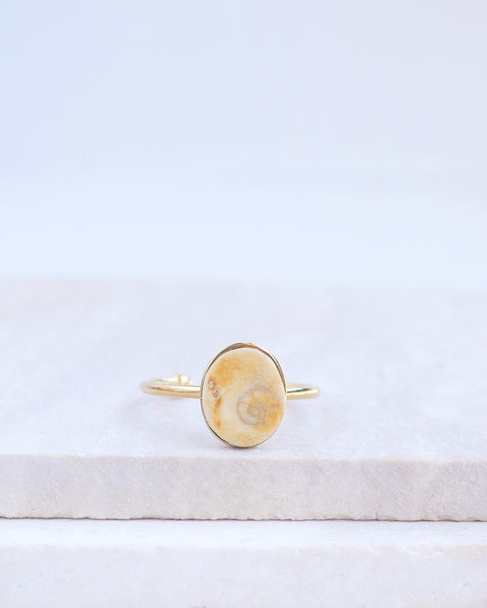 Gold bezel ring with a tiny beige shiva eye on stone displayed with light background. Tiny beige Eye of Saint Lucia Gold Ring on stone displayed, 18k gold stainless steel shiva eye operculum, Saint Lucy Eye, operculum pendant
