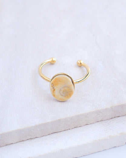 Side view Gold bezel ring with a tiny beige shiva eye on stone displayed with light background. Tiny beige Eye of Saint Lucia Gold Ring on stone displayed, 18k gold stainless steel shiva eye operculum, Saint Lucy Eye, operculum pendant