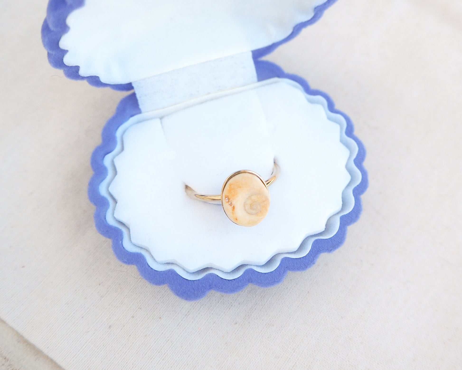 Gold tiny beige shiva eye ring on a white and blue scalloped jewelry dish.