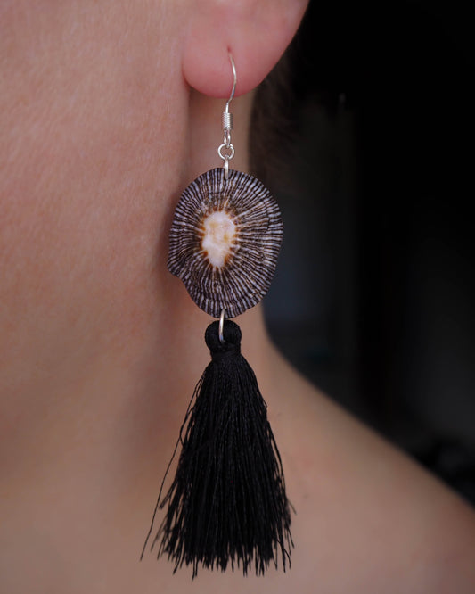 Beachy Boho Fashion - Limpet Shell Earrings with Black Feathers 