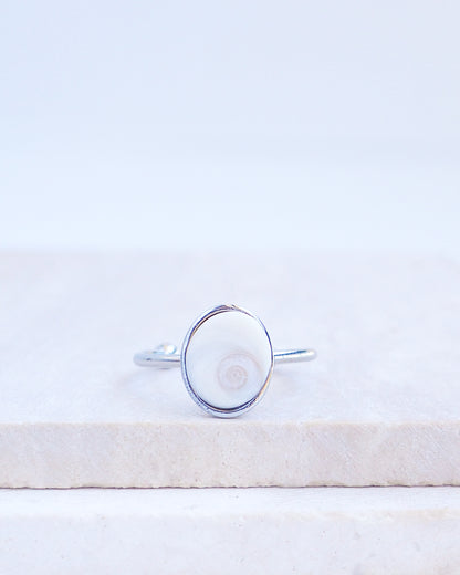 SEASHELL RING ~ Tiny Ivory White Eye of Saint Lucia Silver Bezel