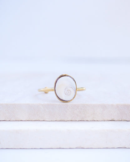 Front view of Gold bezel ring with a tiny ivory white shiva eye on stone displayed with light background. White Eye of Saint Lucia Gold Ring on stone displayed, 18k gold stainless steel shiva eye operculum, Saint Lucy Eye, operculum pendant