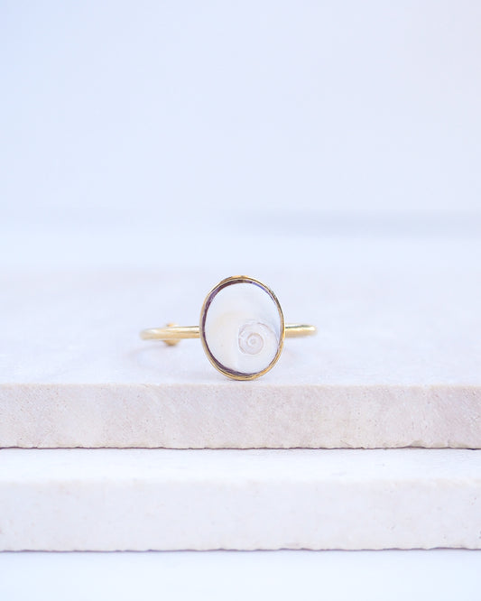 Front view of Gold bezel ring with a tiny ivory white shiva eye on stone displayed with light background. White Eye of Saint Lucia Gold Ring on stone displayed, 18k gold stainless steel shiva eye operculum, Saint Lucy Eye, operculum pendant