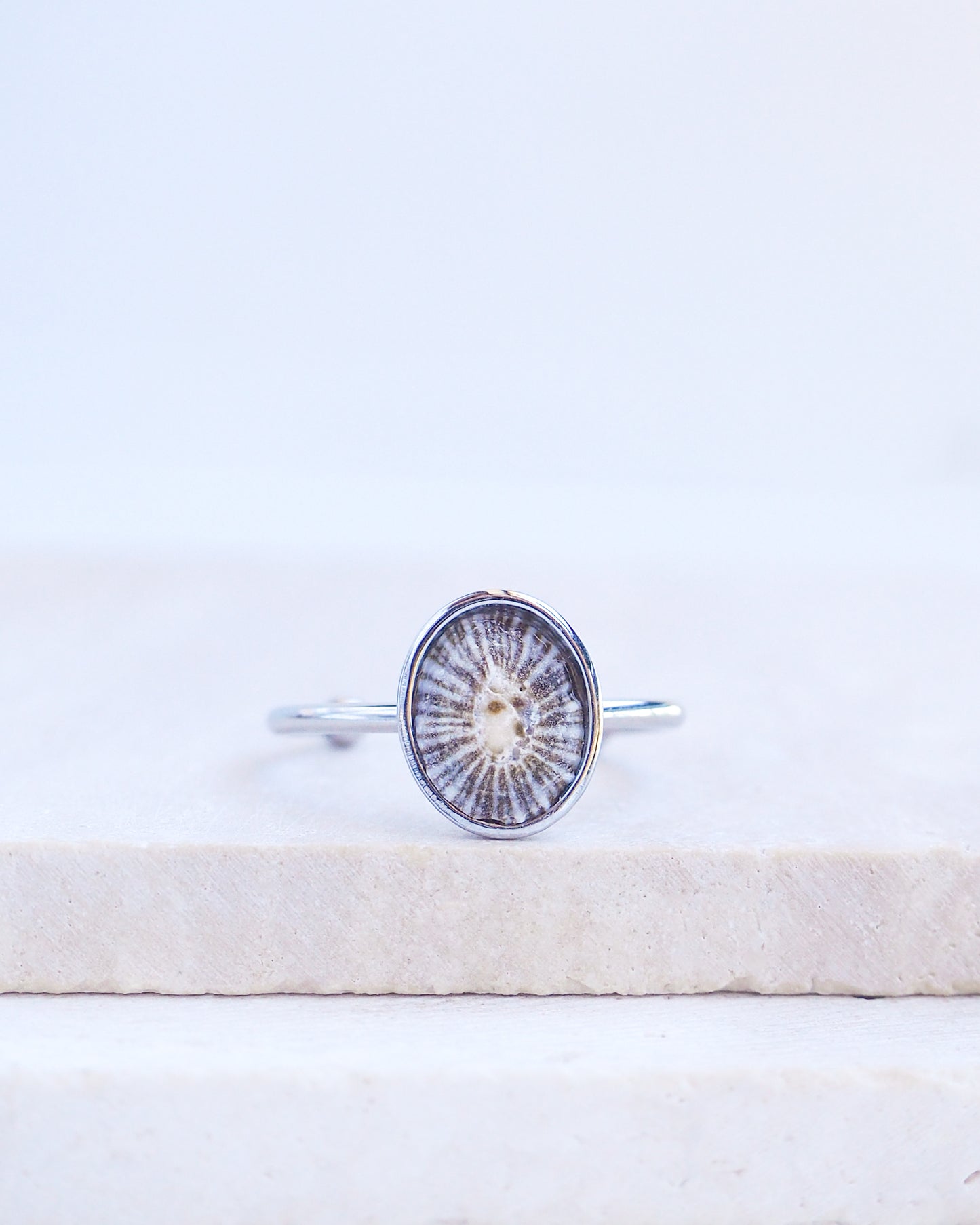 Silver Striped Limpet Shell Ring on display, Tiny Limpet Shell from Portugal set in a silver stainless steel bezel adjustable ring 